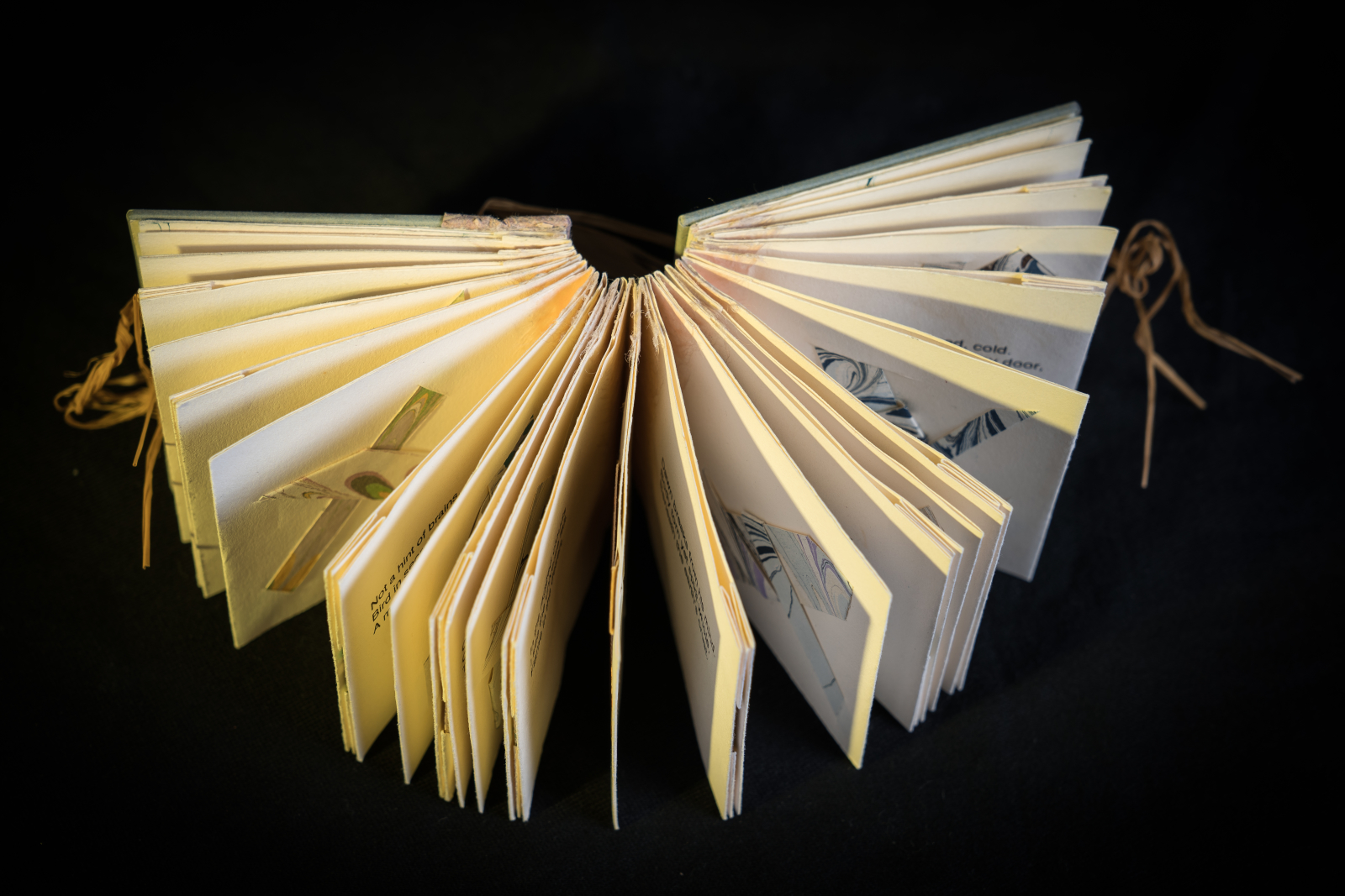 An image of Haiku Hypothesis by Pat Baldwin against a black background open and taken from above. The pages are sprawled open in a fan-like pattern.